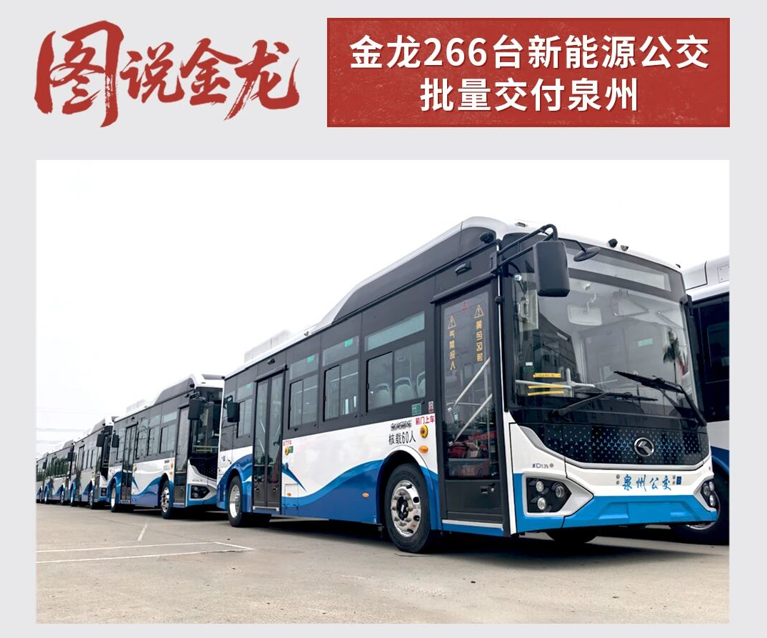 尊凯时龙(中国区)官方网站