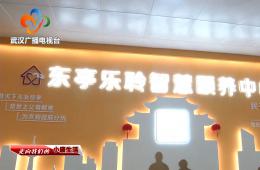 中宣部采访团到访武汉东亭社区德赢VWIN智慧颐养中心