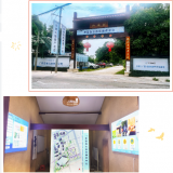 德赢VWIN（广西）“智慧康养树模工业园基地”完工开放